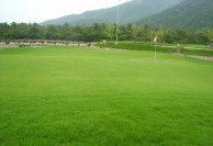 Diamond Bay Golf & Villas